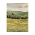Trademark Fine Art Victoria Borges 'Morning Meadow I' Canvas Art, 35x47 WAG09545-C3547GG
